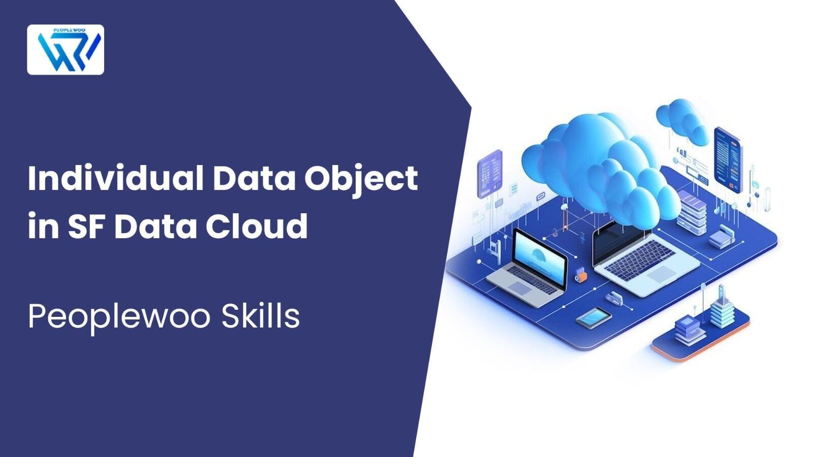 Individual Data Object in SF Data Cloud | Peoplewoo Skills